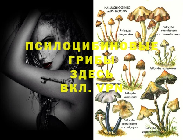 мяу мяу кристалл Нефтекумск