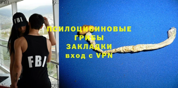ешки Надым