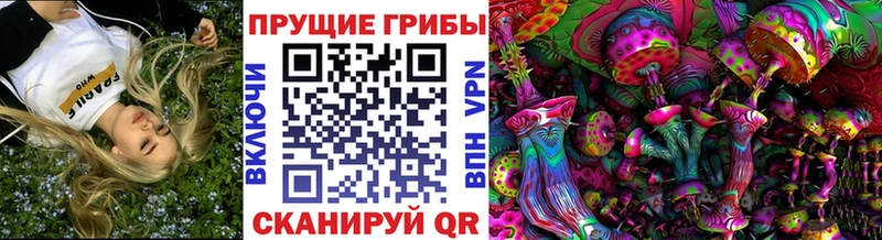 маркетплейс телеграм Новомичуринск Галлюциногенные грибы Psilocybine cubensis