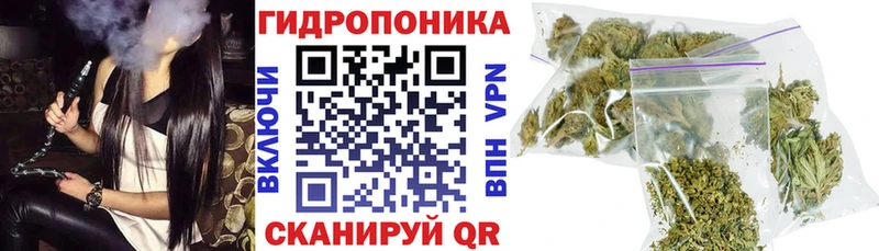 Бошки Шишки гибрид  Новомичуринск 